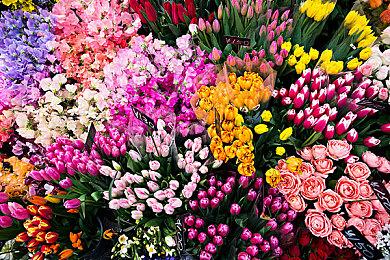 无限构筑，颠覆性革新！国产动作肉鸽续作《霓虹深渊2》首曝！