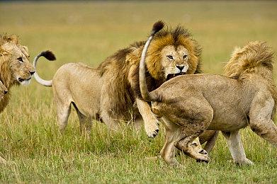 PC游戏秀：多人间谍游戏《欺骗公司》2023年推出